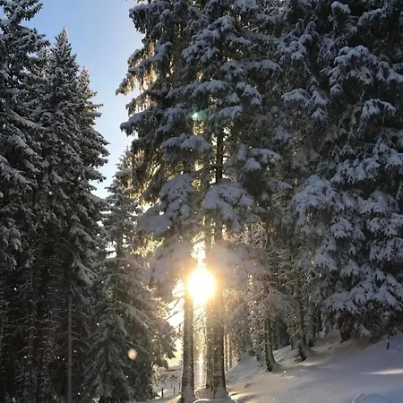 Apartment Mit Aussicht Nahe Golfplatz Schluein