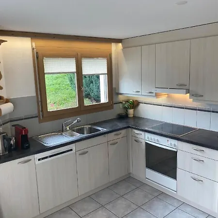 Wohnung Schluein Apartman